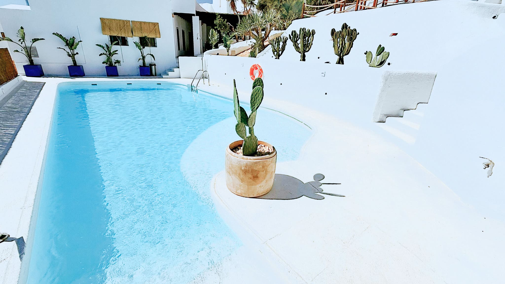 Beach Club El Dorado San José — imagen 11